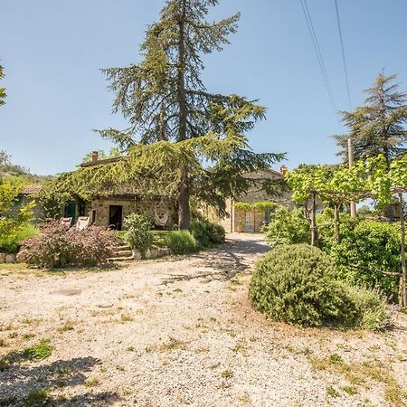Castiglione dʼOrcia Appartamento Gemma Verde-Tavoleto מראה חיצוני תמונה