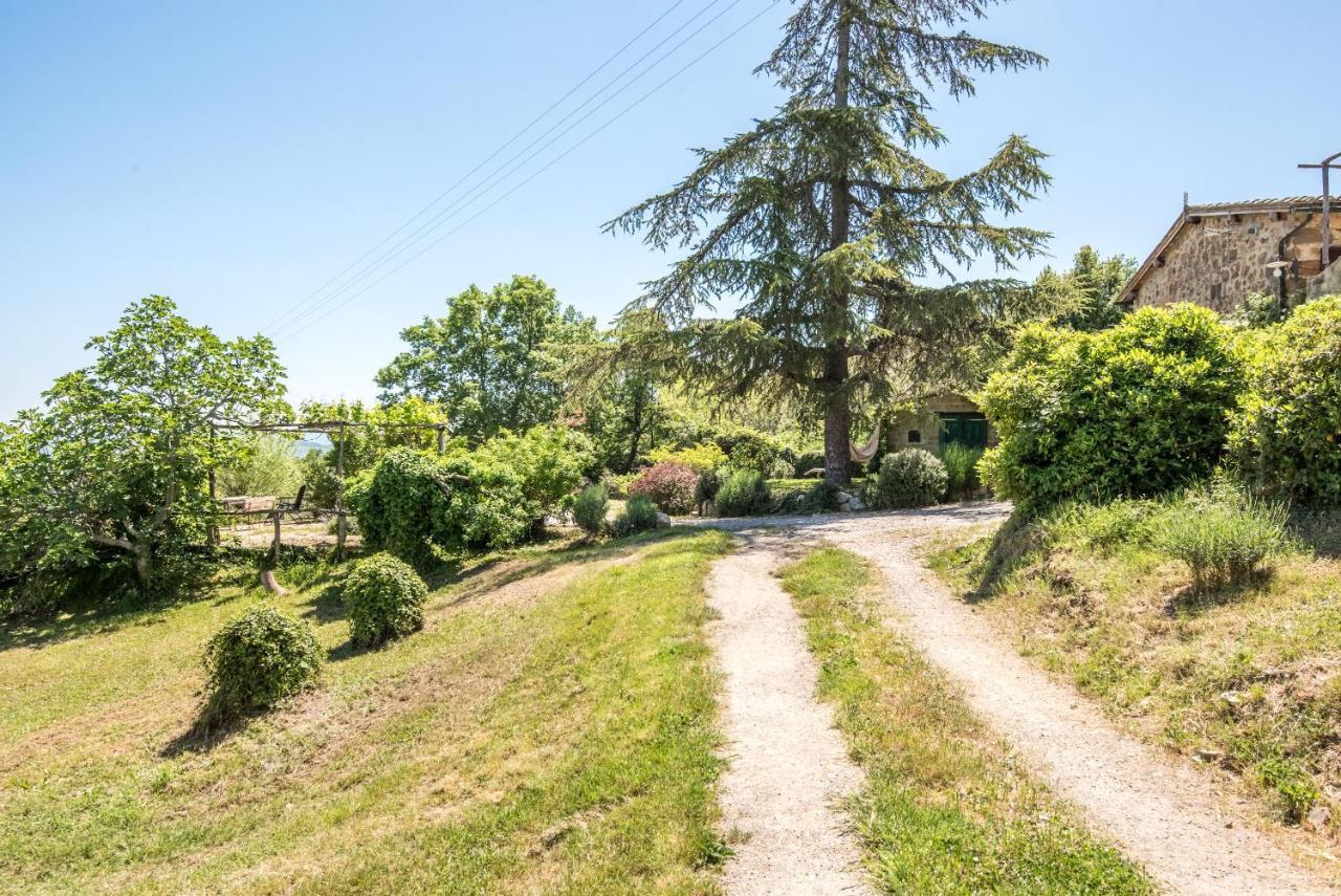 Castiglione dʼOrcia Appartamento Gemma Verde-Tavoleto מראה חיצוני תמונה